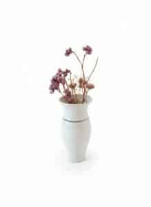 White-Ceramic-Vase-with-Blue-Bands-and-Dried-Flowers