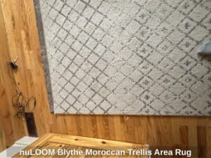 nuLOOM-Blythe-Moroccan-Trellis-Area-Rug-second-image
