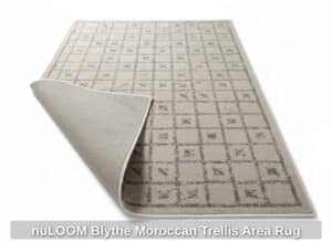 nuLOOM-Blythe-Moroccan-Trellis-Area-Rug-third-image
