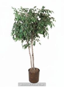 Artificial-Ficus-Tree