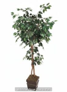 Artificial-Ficus-Tree-in-Pot