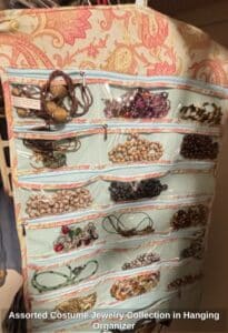 Assorted-Costume-Jewelry-Collection-in-Hanging-Organizer