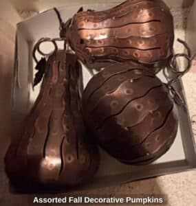 Assorted-Fall-Decorative-Pumpkins-fifth-image