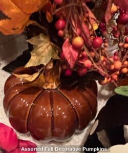 Assorted-Fall-Decorative-Pumpkins-fourth-image