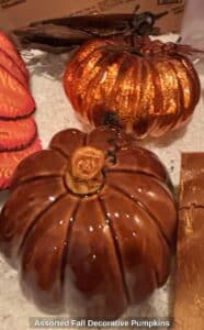 Assorted-Fall-Decorative-Pumpkins-third-image