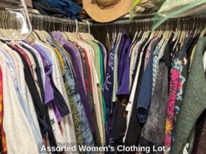Assorted-Womens-Clothing-Lot-second-image
