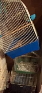 Bird-Cages
