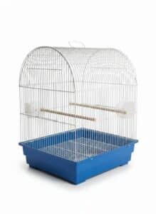 Bird-Cages-second-image