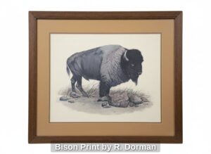 Bison-Print-by-R.-Dorman