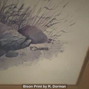 Bison-Print-by-R.-Dorman-second-image