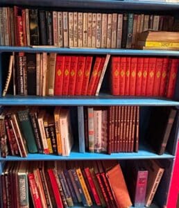 Books-on-Blue-Shelving-Unit
