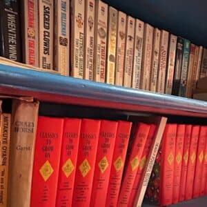 Books-on-Blue-Shelving-Unit-second-image