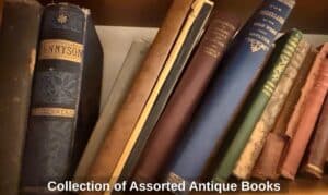 Collection-of-Assorted-Antique-Books