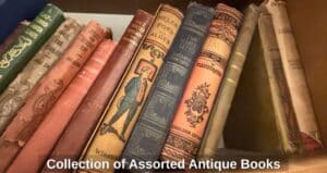 Collection-of-Assorted-Antique-Books-second-image