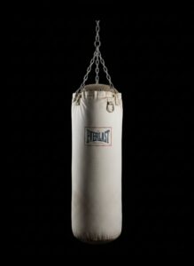 Everlast-Made-in-USA-Punching-Bag