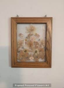 Framed-Pressed-Flowers-Art