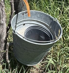 Galvanized-Metal-Pails-and-Buckets-second-image