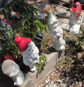 Garden-Gnomes