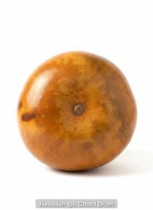 Hawaiian-Ipu-Gourd-Drum-second-image
