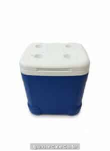 Igloo-Ice-Cube-Cooler