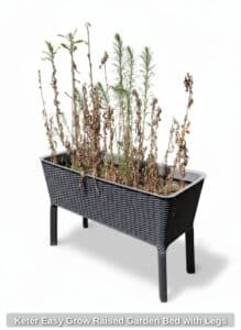 Keter-Easy-Grow-Raised-Garden-Bed-with-Legs