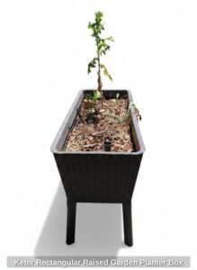Keter-Rectangular-Raised-Garden-Planter-Box
