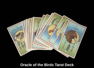 Oracle-of-the-Birds-Tarot-Deck