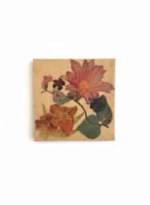 Pressed-Flower-Art-Panel