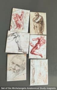 Set-of-Six-Michelangelo-Anatomical-Study-magnets