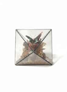 Taxidermied-Urania-Leilus-Butterfly-in-Geometric-Glass-Display-second-image