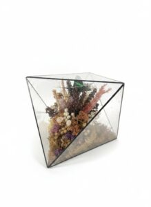 Taxidermied-Urania-Leilus-Butterfly-in-Geometric-Glass-Display-third-image