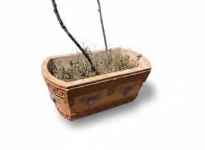 Terracotta-Planter-with-Greek-Key-and-Grape-Motif