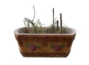 Terracotta-Planter-with-Greek-Key-and-Grape-Motif-third-image