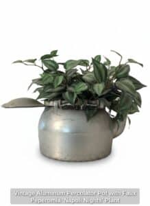 Vintage-Aluminum-Percolator-Pot-with-Faux-Peperomia-Napoli-Nights-Plant