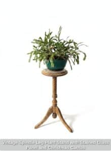 Vintage-Spindle-Leg-Plant-Stand-with-Stained-Glass-Panel-and-Christmas-Cactus