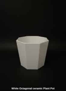 White-Octagonal-ceramic-Plant-Pot