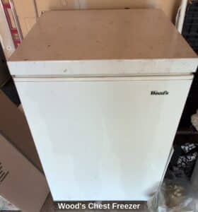 Woods-Chest-Freezer