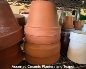 Assorted-Ceramic-Planters-and-Teapot-fourth-image