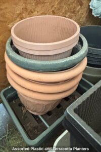 Assorted-Plastic-and-Terracotta-Planters