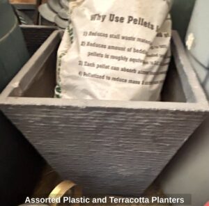 Assorted-Plastic-and-Terracotta-Planters-fourth-image