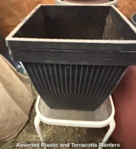 Assorted-Plastic-and-Terracotta-Planters-third-image