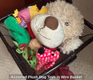 Assorted-Plush-Dog-Toys-in-Wire-Basket