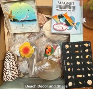 Beach-Decor-and-Shells