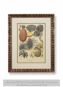 Botanical-Print-of-Tropical-Fruits-Pineapple-Cherimoya-and-Sour-Sop