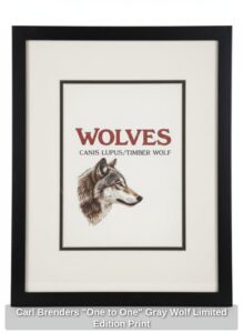 Carl-Brenders-One-to-One-Gray-Wolf-Limited-Edition-Print