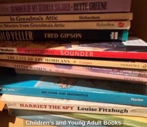 Childrens-and-Young-Adult-Books-third-image