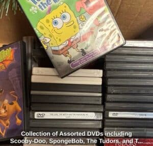 Collection-of-Assorted-DVDs-including-Scooby-Doo-SpongeBob-The-Tudors-and-The-Lion-the-Witch-and-the-Wardrobe
