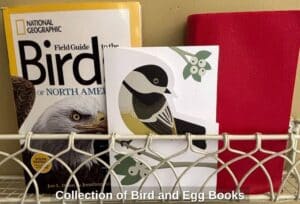 Collection-of-Bird-and-Egg-Books