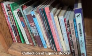 Collection-of-Equine-Books