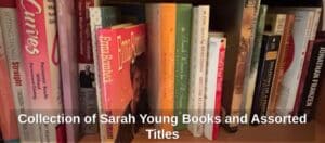 Collection-of-Sarah-Young-Books-and-Assorted-Titles